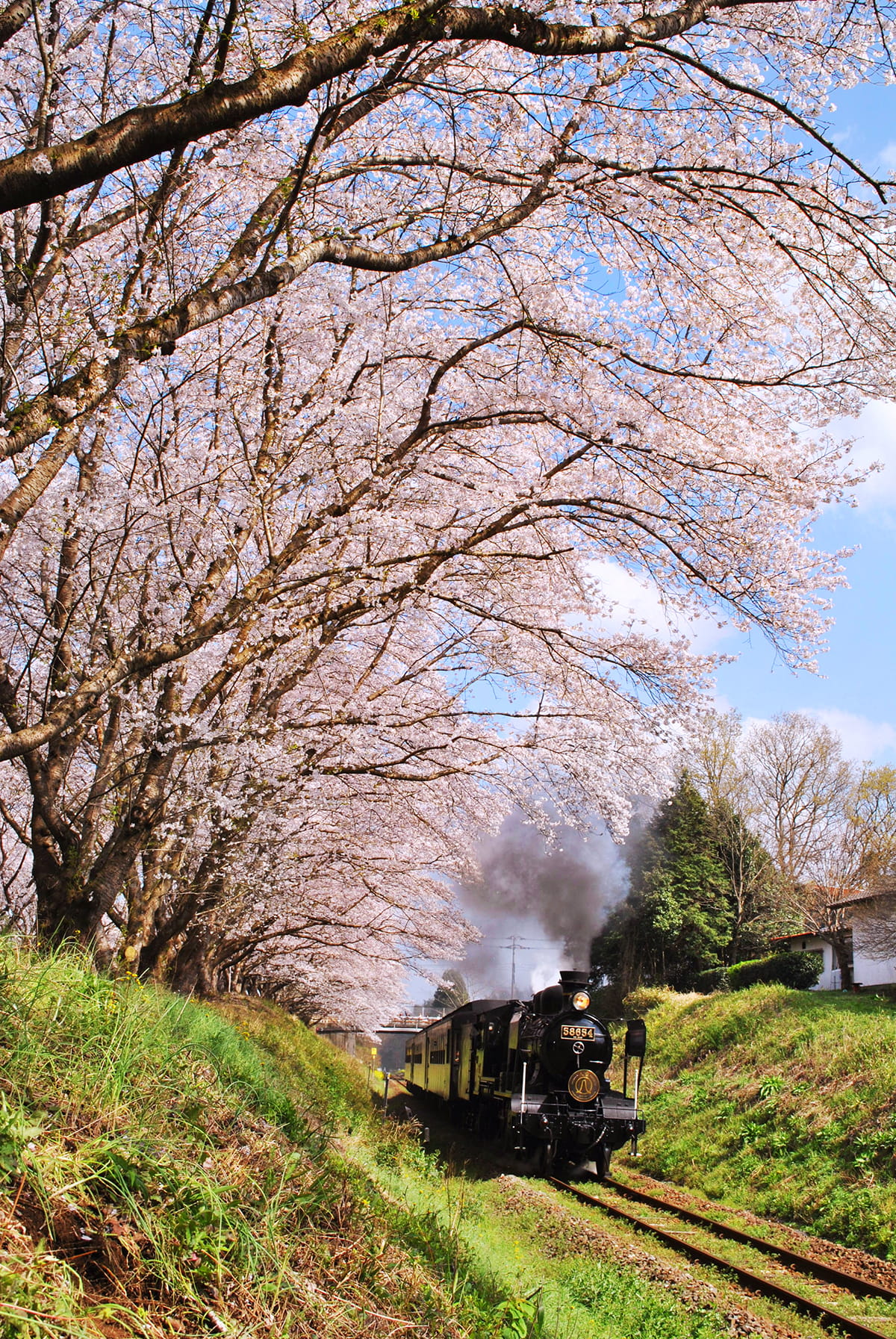 最優秀賞　写真