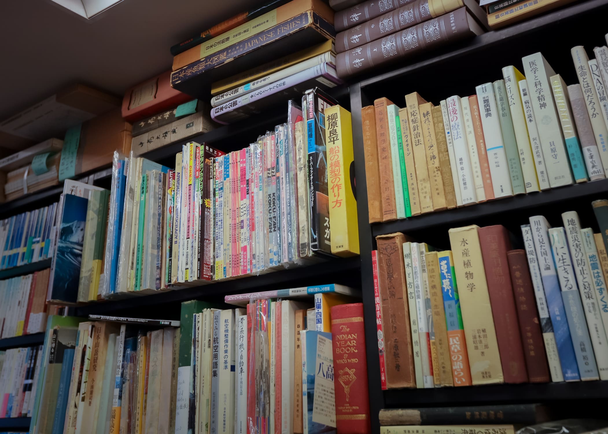 天野屋書店の写真